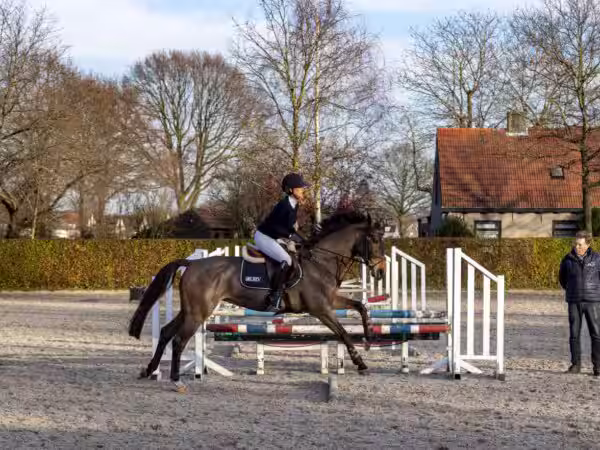 Senior relatiebeheerder Cecile zet gezin en paard op nummer één