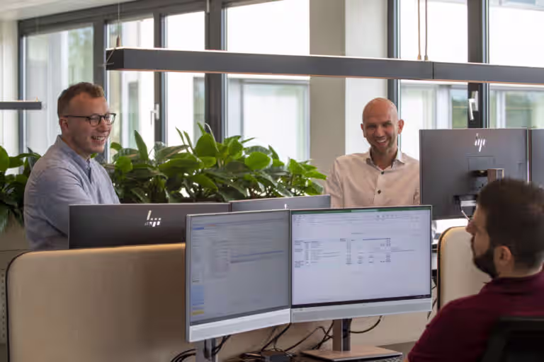 Young professional - assistent audit